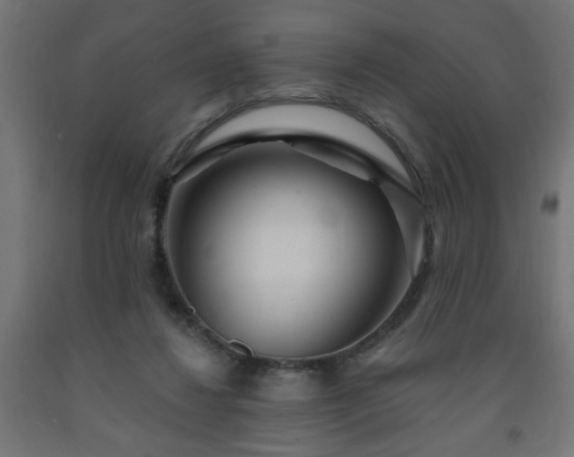 X0000093250260200710031610