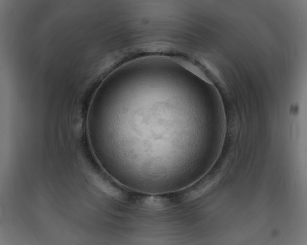 X0000093250261200710031610