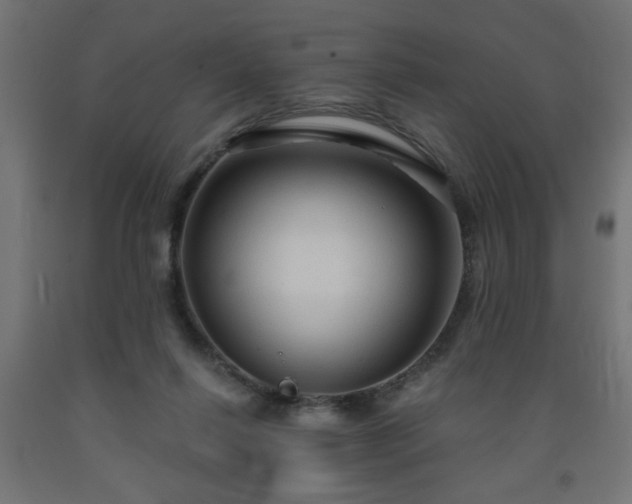 X0000093250262200710031610