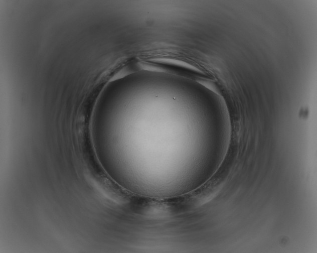 X0000093250263200710031610