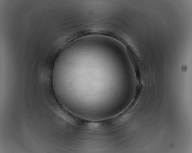 X0000093250265200710031610