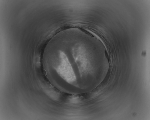 X0000093250267200710031610