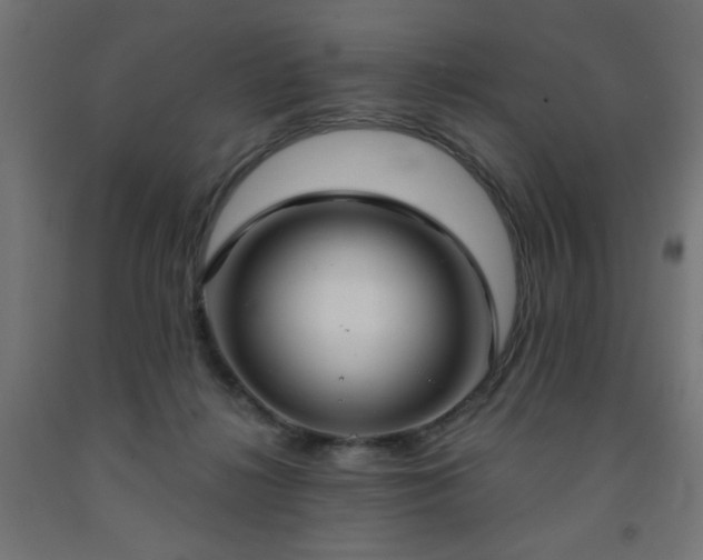 X0000093250268200710031610