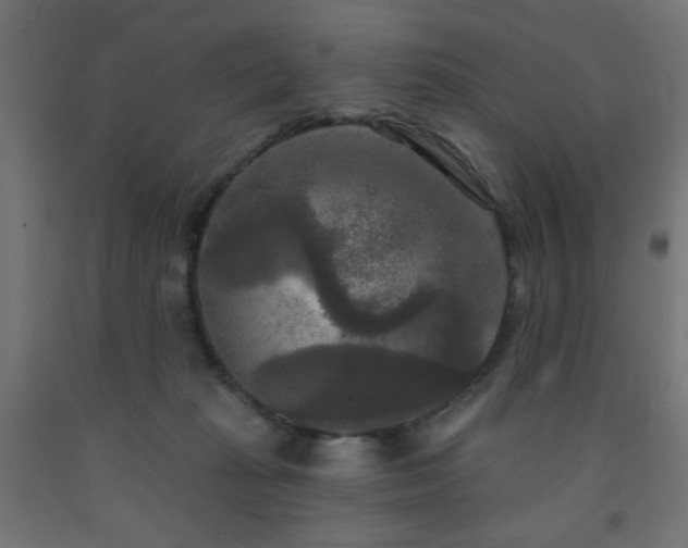 X0000093250269200710031610