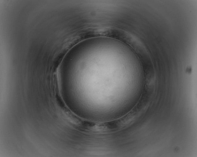 X0000093250270200710031610