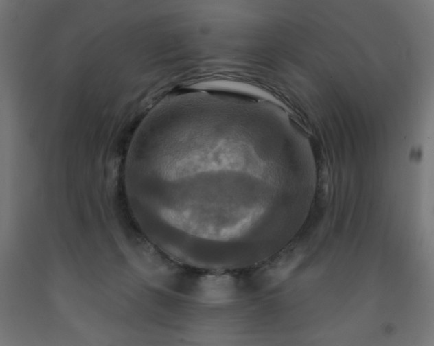 X0000093250271200710031610