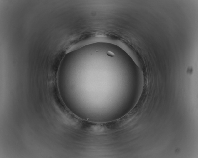 X0000093250272200710031610