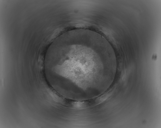 X0000093250273200710031610