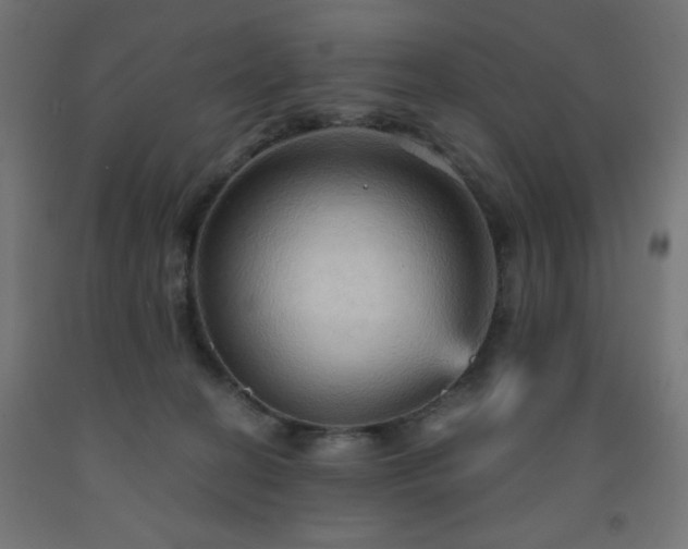 X0000093250274200710031610