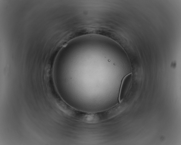 X0000093250275200710031610