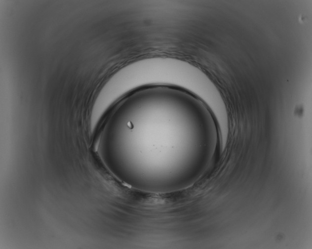 X0000093250276200710031610