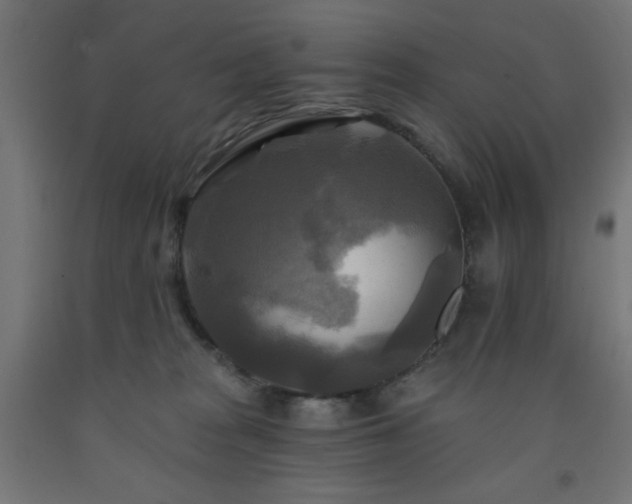 X0000093250277200710031610