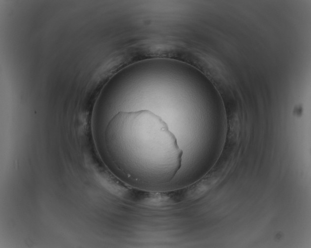 X0000093250278200710031610