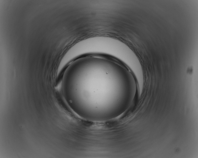 X0000093250280200710031610