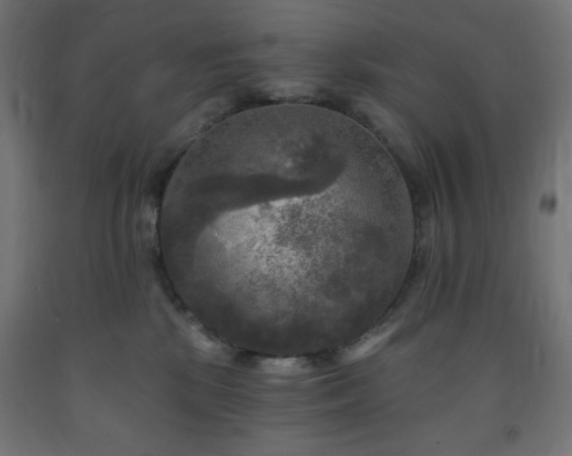 X0000093250281200710031610