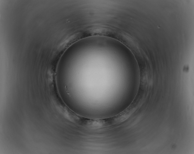 X0000093250282200710031610