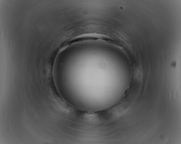 X0000093250283200710031610