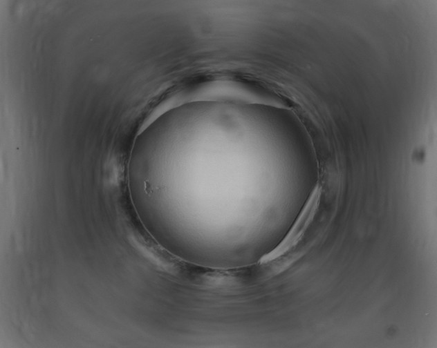 X0000093250284200710031610