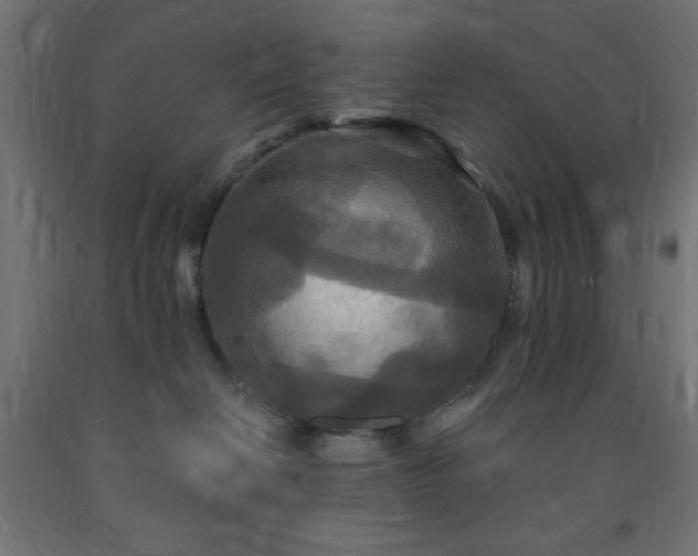 X0000093250286200710031610