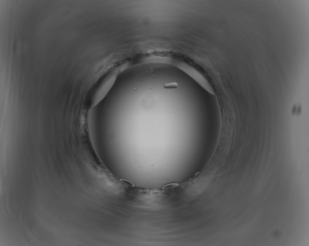 X0000093250288200710031610