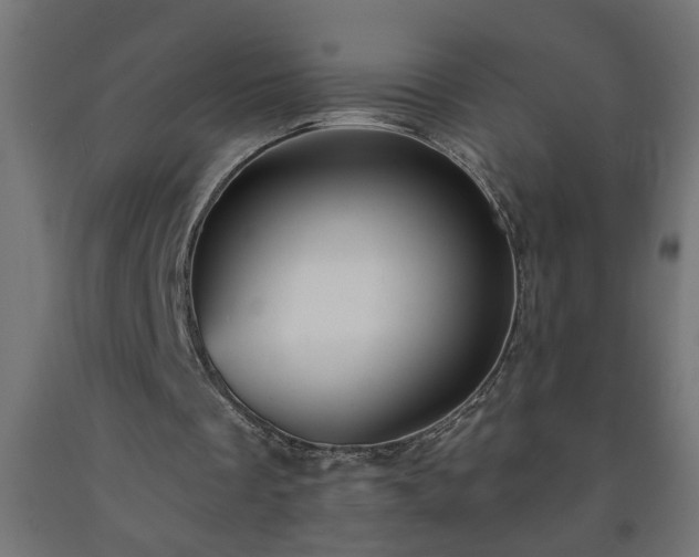 X0000093250289200710031609