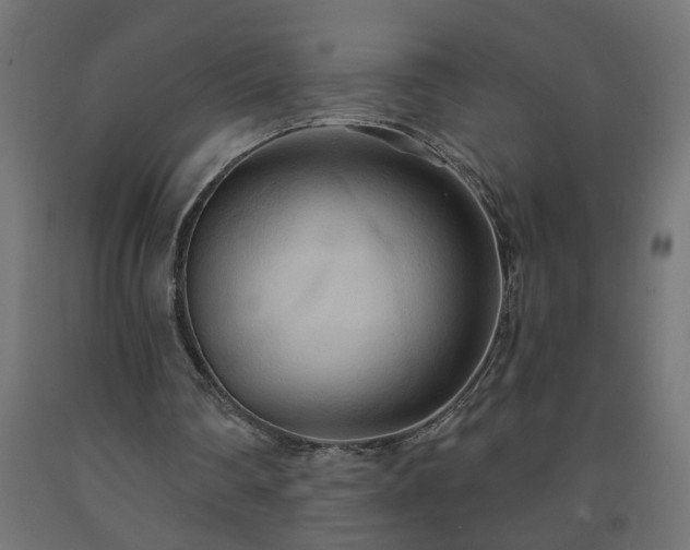 X0000093250290200710031609