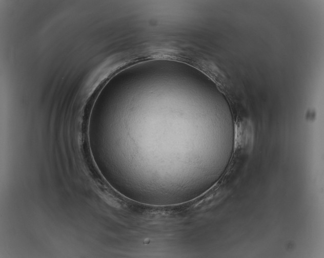 X0000093250291200710031609