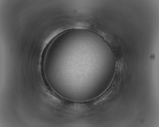 X0000093250292200710031609