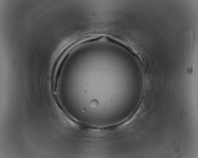 X0000093250293200710031609