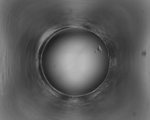 X0000093250294200710031609