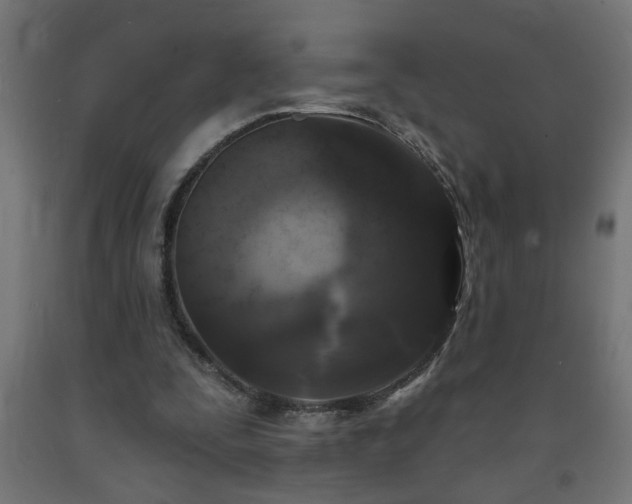 X0000093250295200710031609