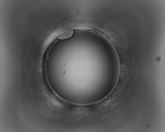 X0000093250296200710031609