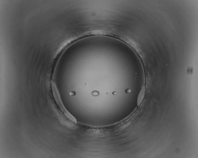 X0000093250297200710031609