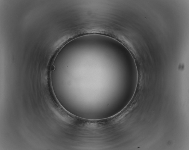 X0000093250298200710031609