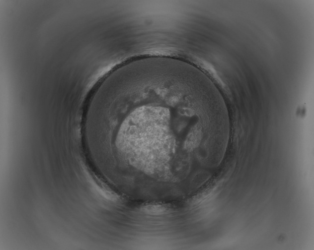 X0000093250299200710031609