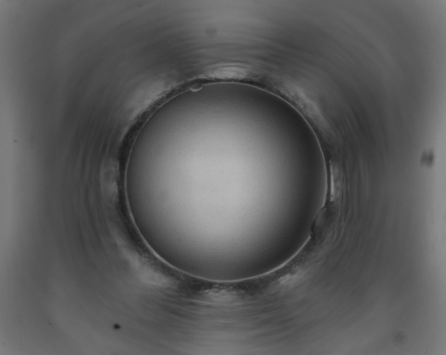 X0000093250300200710031609