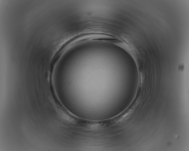 X0000093250301200710031609