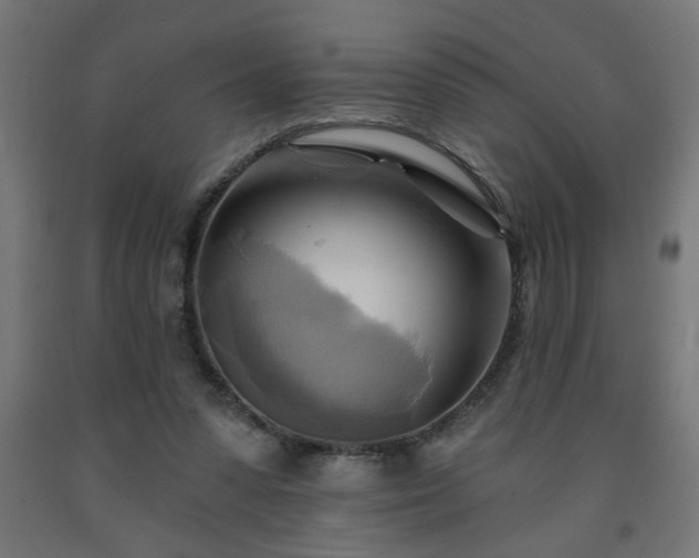 X0000093250303200710031609