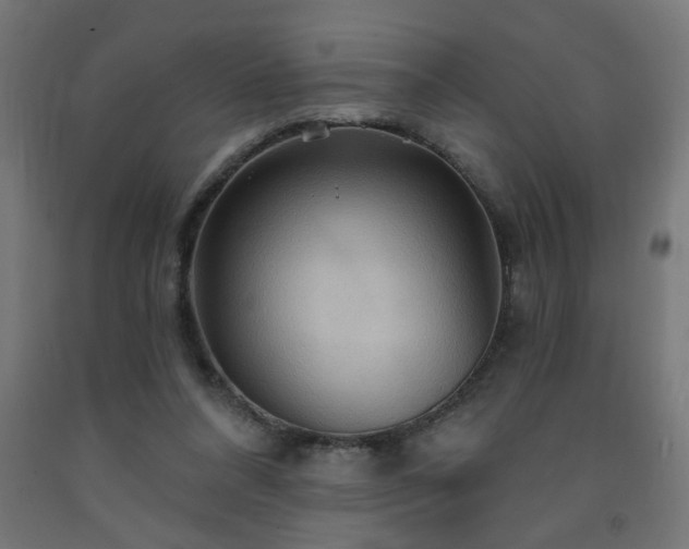 X0000093250304200710031609