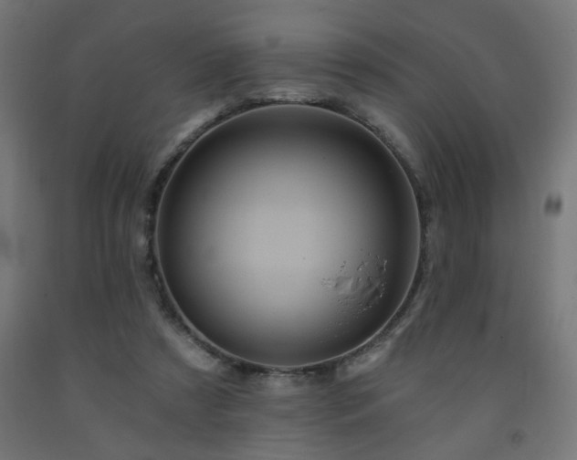 X0000093250305200710031609