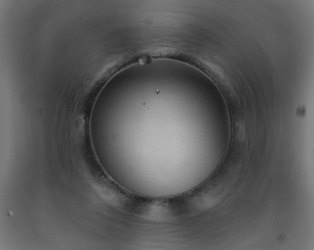 X0000093250308200710031609