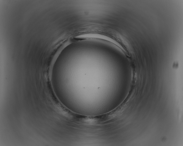 X0000093250313200710031609