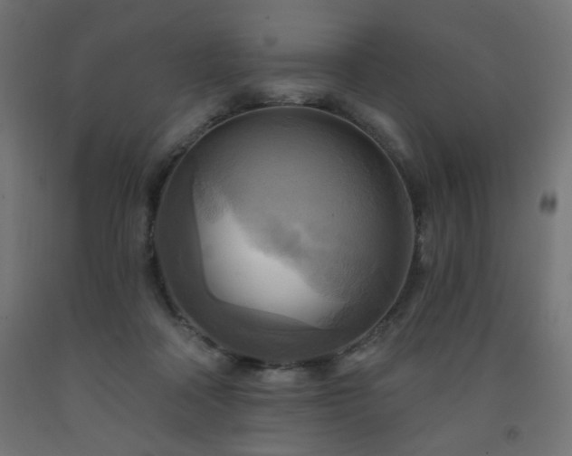 X0000093250314200710031609