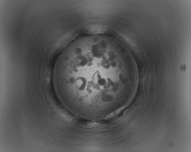 X0000093250315200710031609