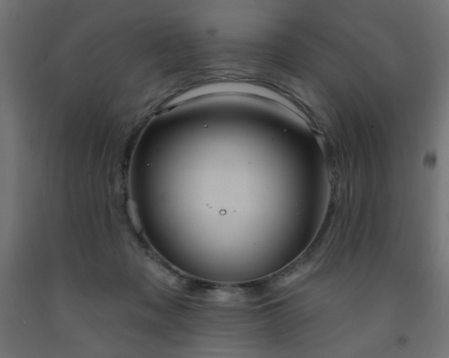 X0000093250317200710031609