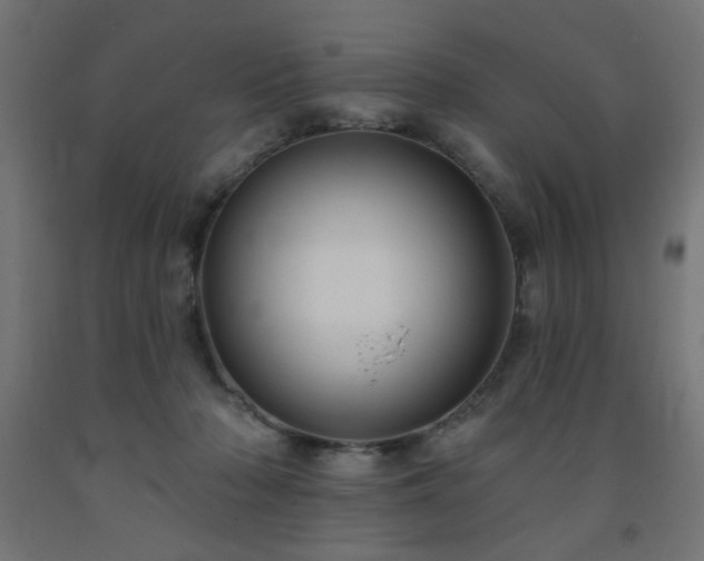 X0000093250318200710031609