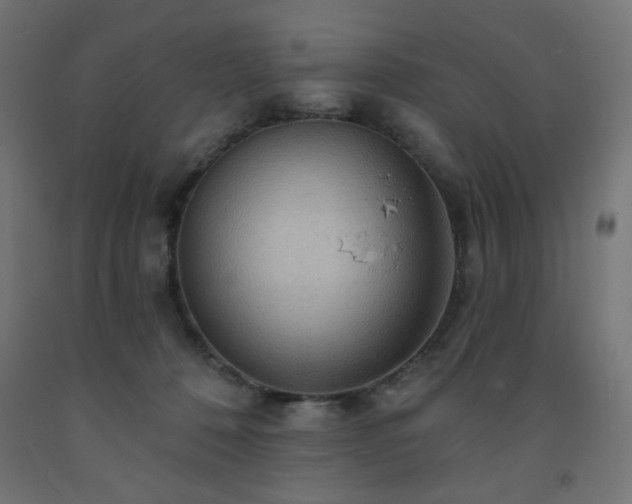 X0000093250320200710031609