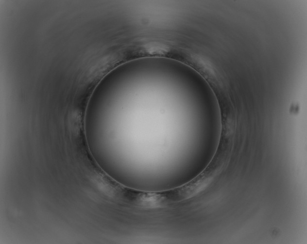 X0000093250321200710031609