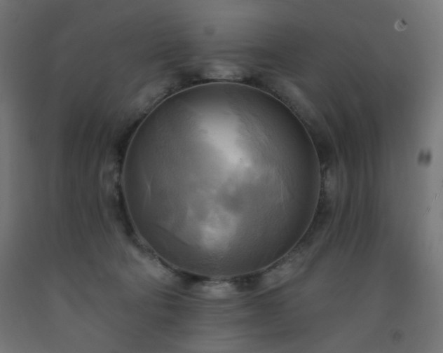 X0000093250322200710031609