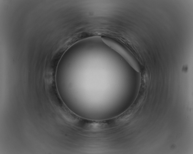 X0000093250323200710031609